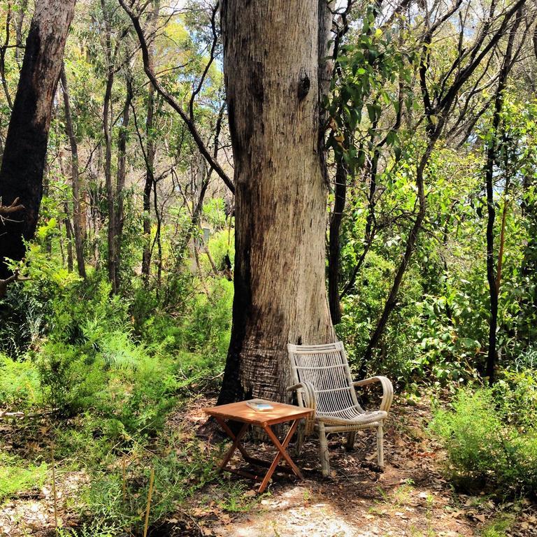 Wilderness House Bed and Breakfast Margaret River Habitación foto